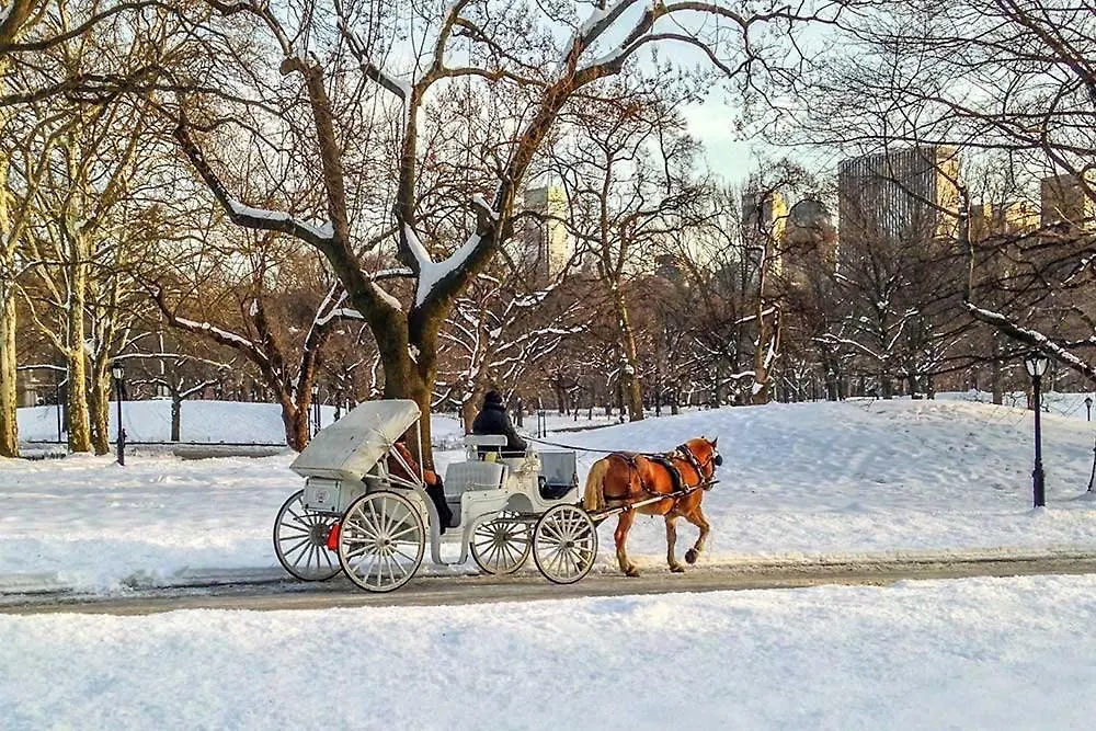 New York City Stay2 Close To Time Square, Central Park, Columbus Circle, Health Kitchen 0*, New York United States